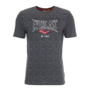 Camiseta Everlast Geo Logo gris