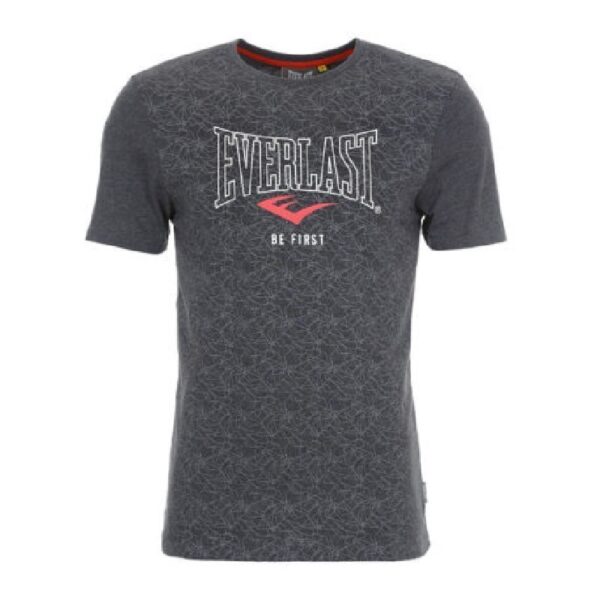 Camiseta Everlast Geo Logo gris
