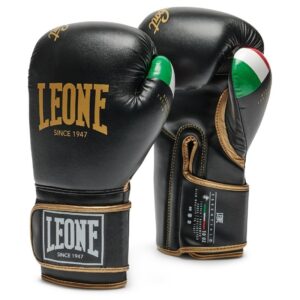 Guantes de Boxeo Leone Essential 2