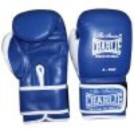 Guantes de Boxeo Charlie Kids azul