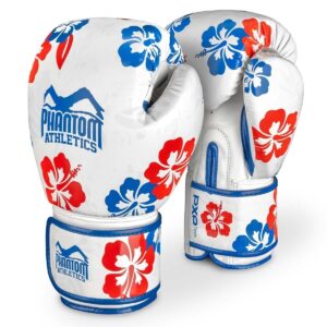 Guantes de Boxeo Phantom Hawai