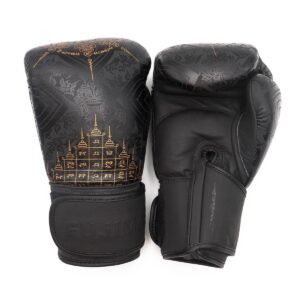 Guantes de Boxeo FUJIMAE Sak Yank II negro